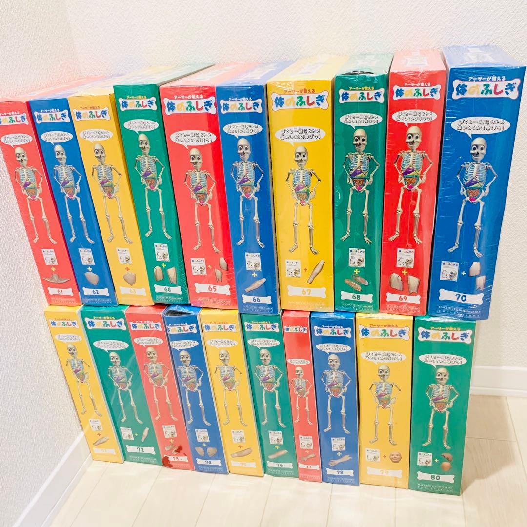 全80巻］アーサーが教える 体のふしぎ 人体模型 知育 医学 - メルカリ
