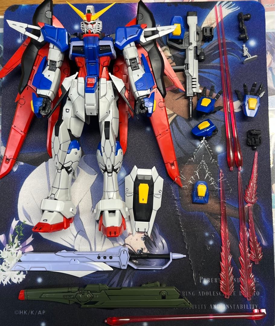 rg デスティニーガンダム完成品