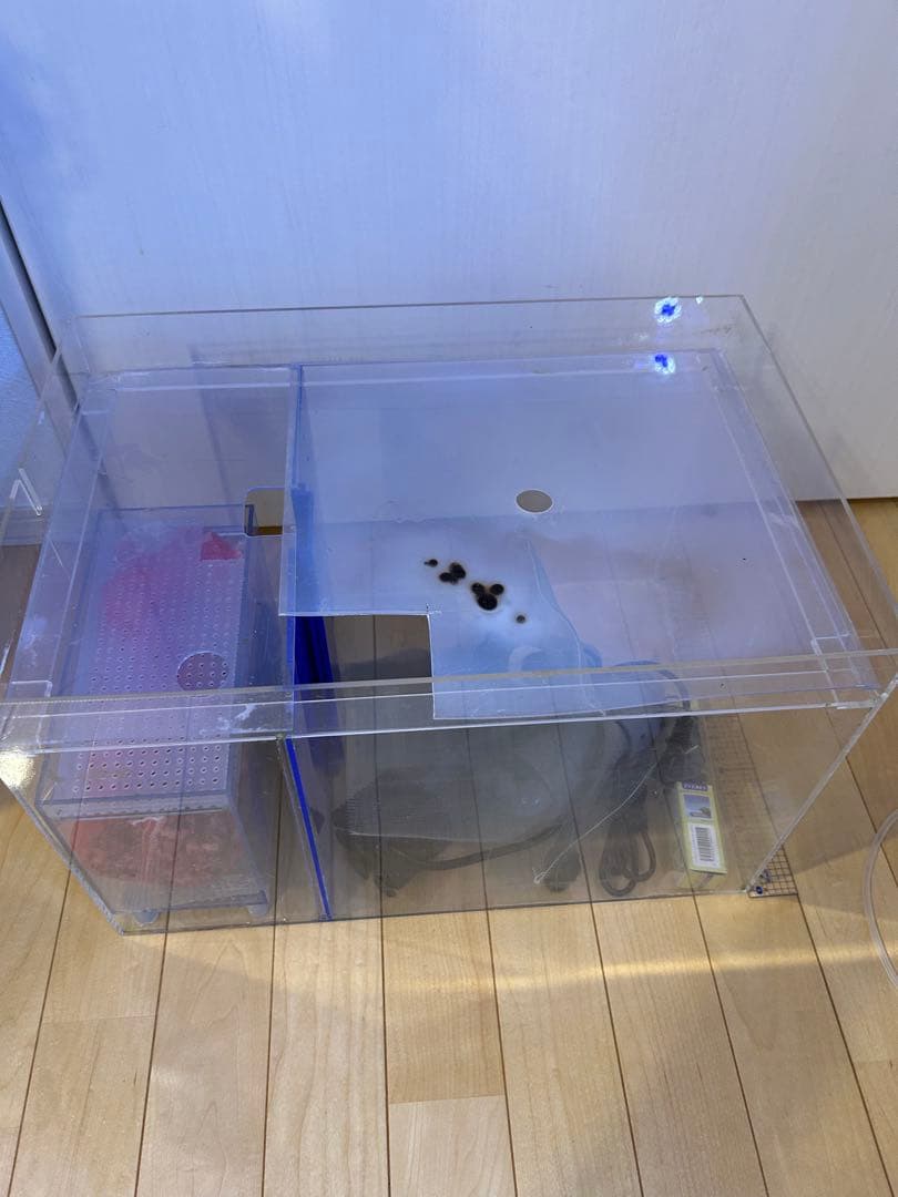 かんたん槽 水槽 日海センター NK45 中古 海水魚用 熱帯魚用 - メルカリ