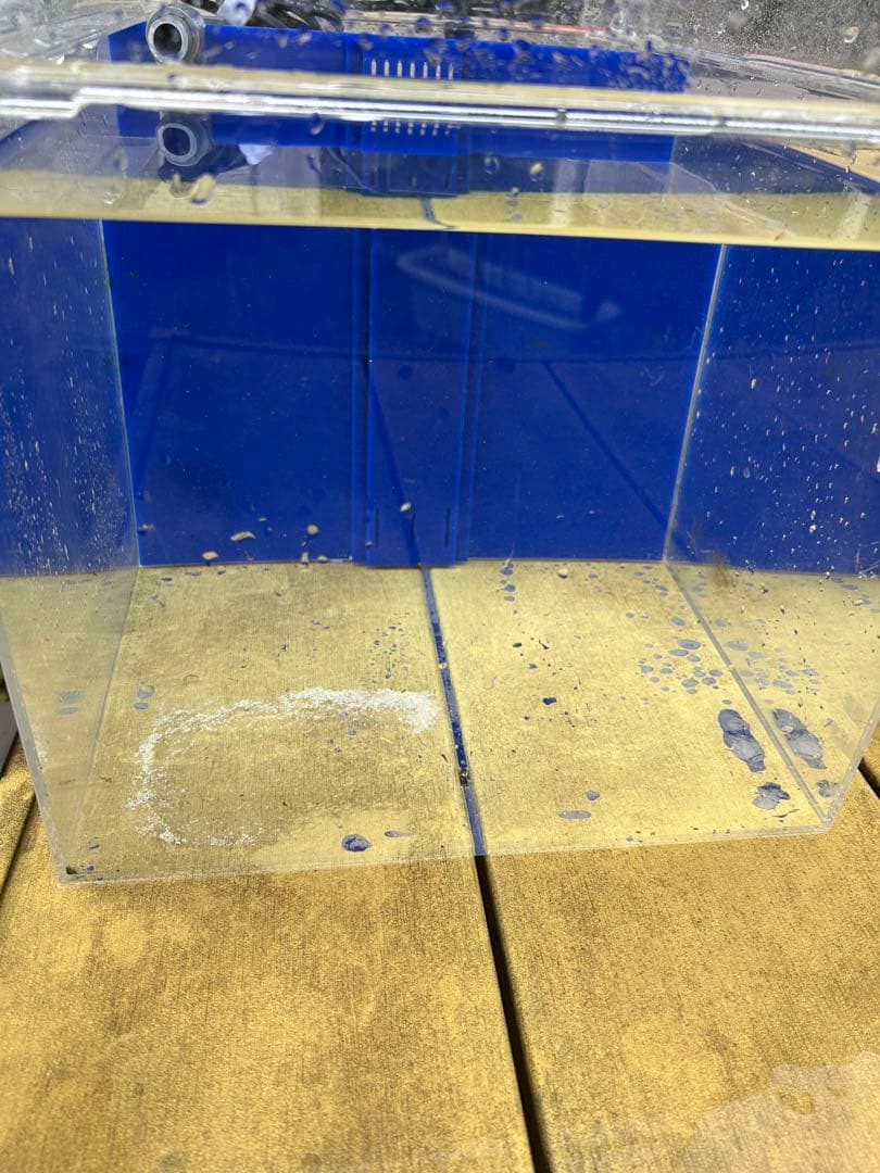 かんたん槽 水槽 日海センター NK45 中古 海水魚用 熱帯魚用 - メルカリ
