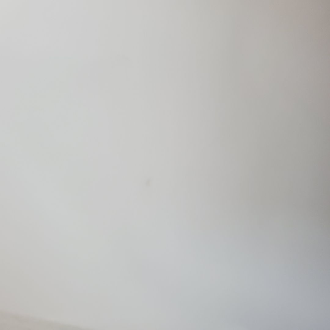 さらに 半額 ! 激レア 貴重 内尾和正 イラスト集 直筆 色紙 サイン