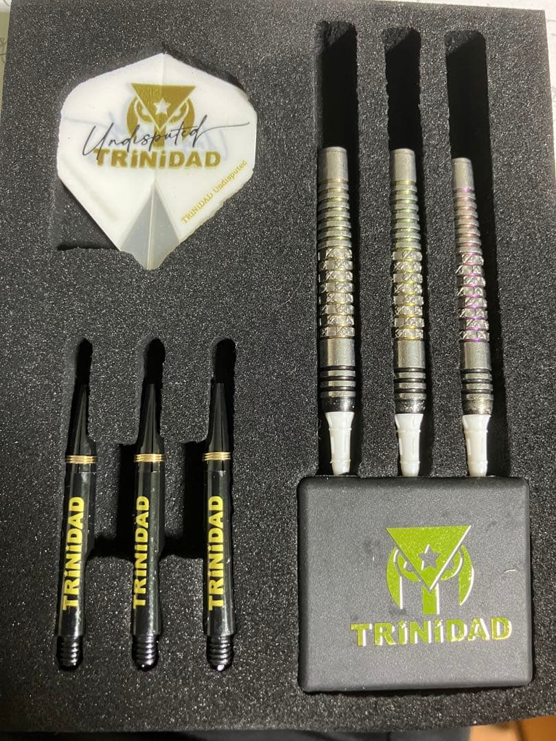 リカルドα 浅田斉吾 選手 ワールドチャンピオン【限定版】22g 2BA