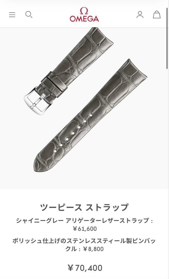 OMEGA 純正19mmツーピースストラップ ピンバックル　アリゲーター オメガ