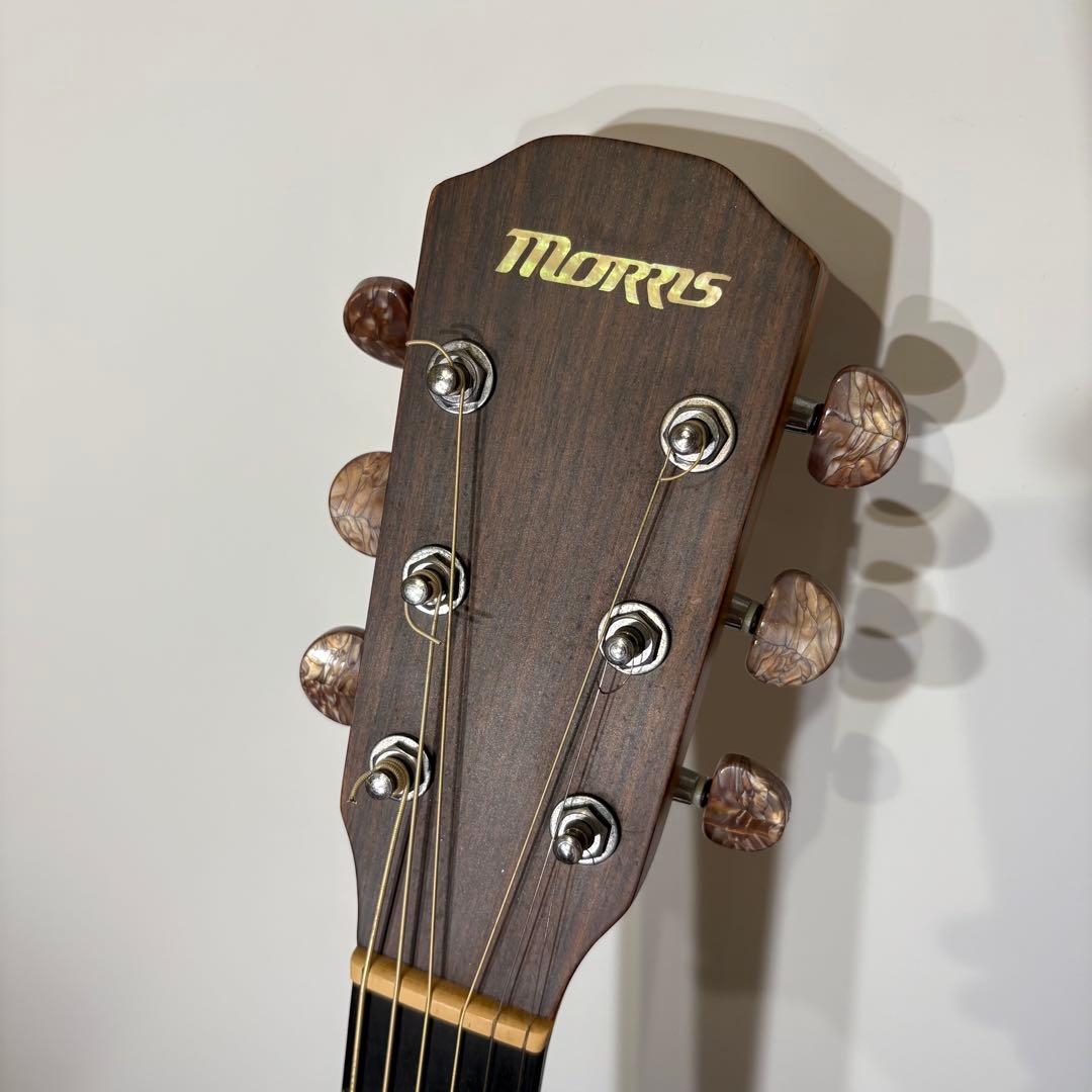 Morris S-40 アコースティックギター S-40 下倉楽器オリジナルモデル