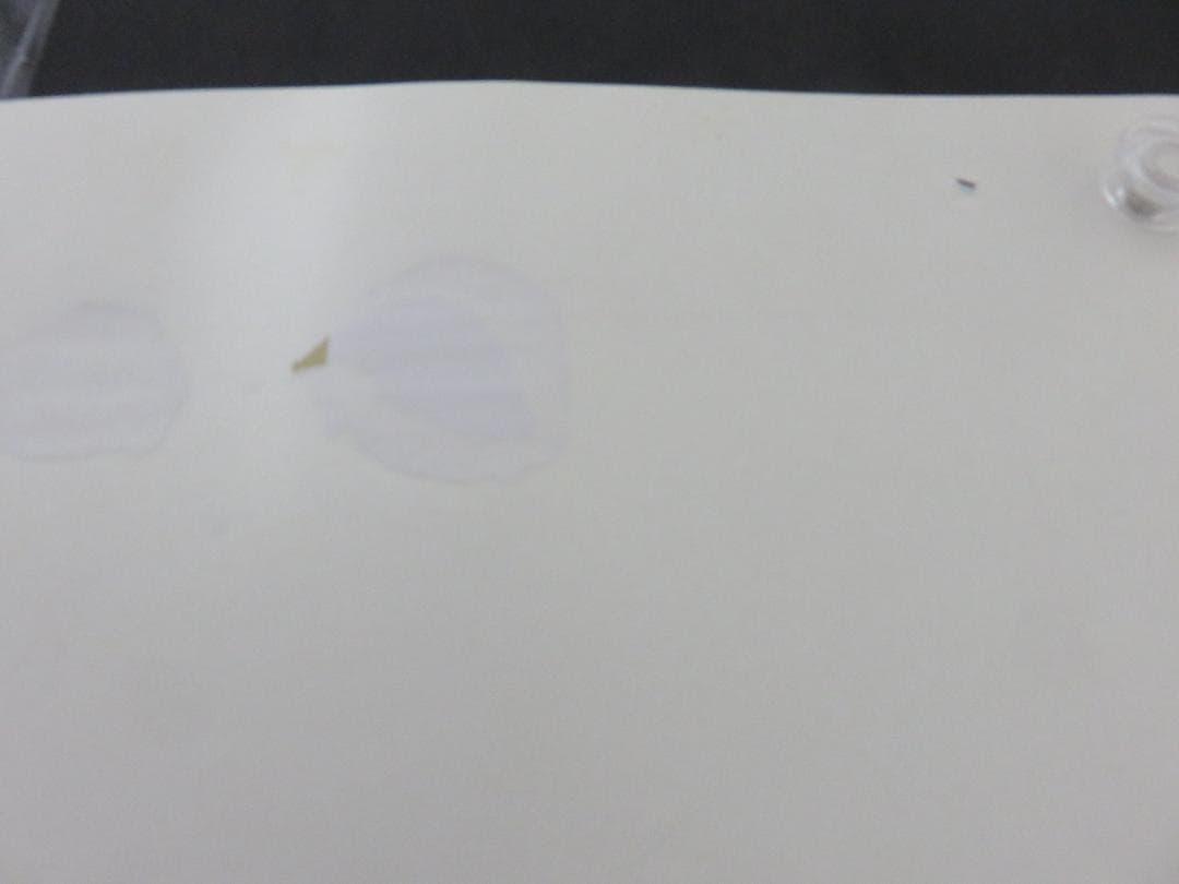 中古□うる星やつら□中吊り□ポスター□高橋留美子□アニメージュ