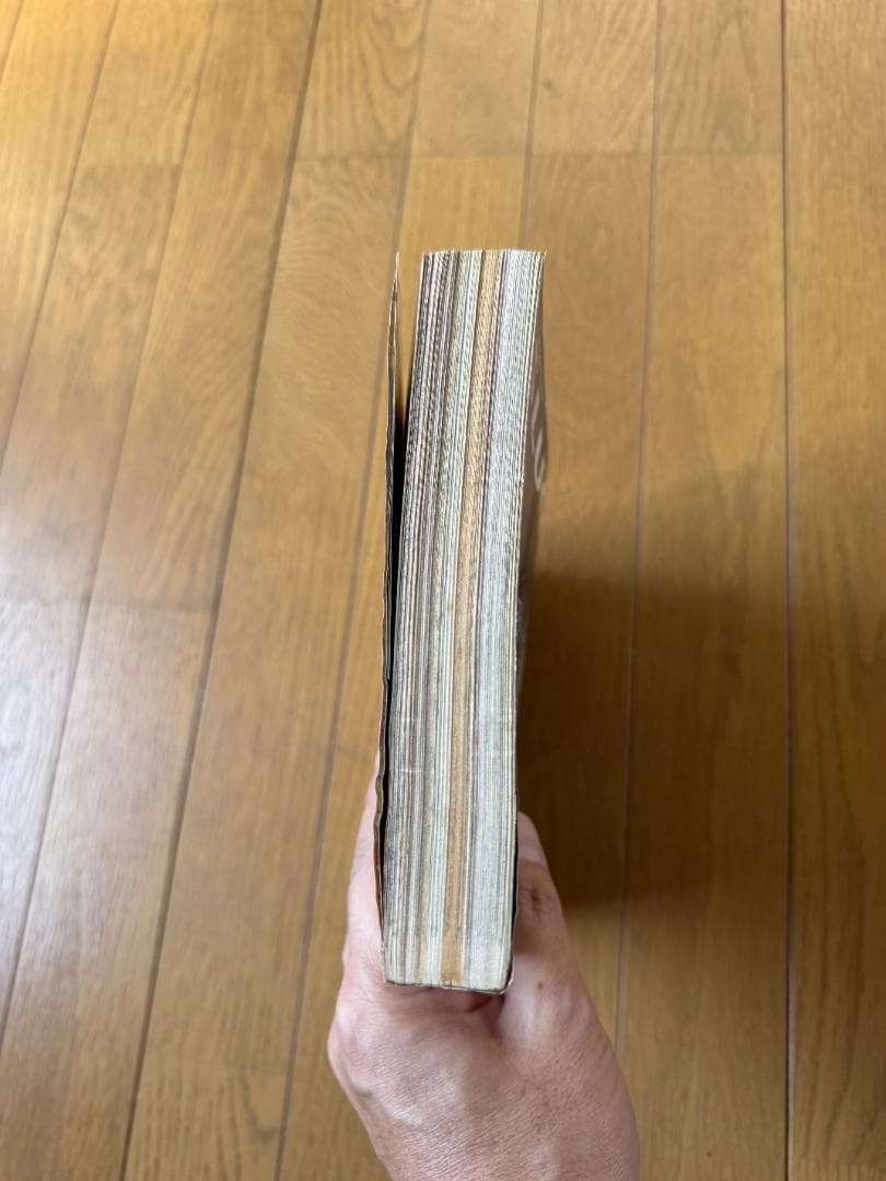 週刊少年ジャンプ1999年24号ONE PIECE表紙号アーロン戦クライマックス