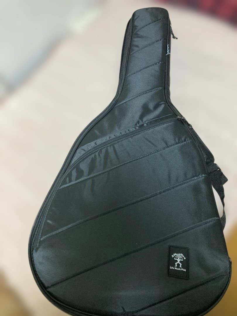 aNueNue aNN-LF23E フルサイズ・センターホールギター(PU付) - メルカリ