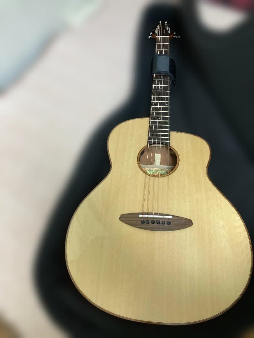 aNueNue aNN-LF23E フルサイズ・センターホールギター(PU付) - メルカリ