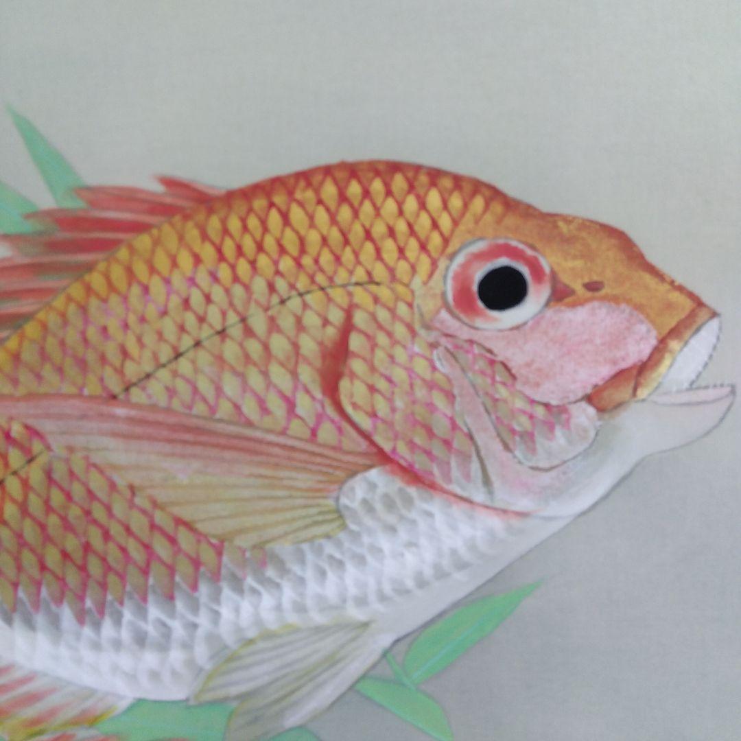 掛け軸　鯛　杉浦満