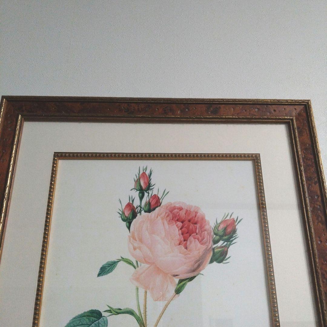 ① ルドゥーテ 絵額 レ ローズ バラ図譜 フォリオ判 銘木調フレーム 額