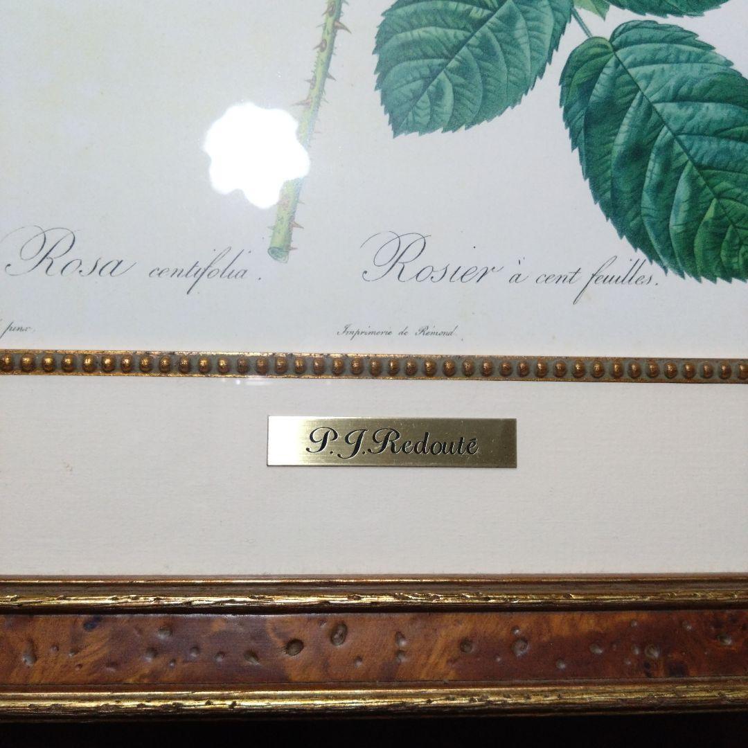 ① ルドゥーテ 絵額 レ ローズ バラ図譜 フォリオ判 銘木調フレーム 額