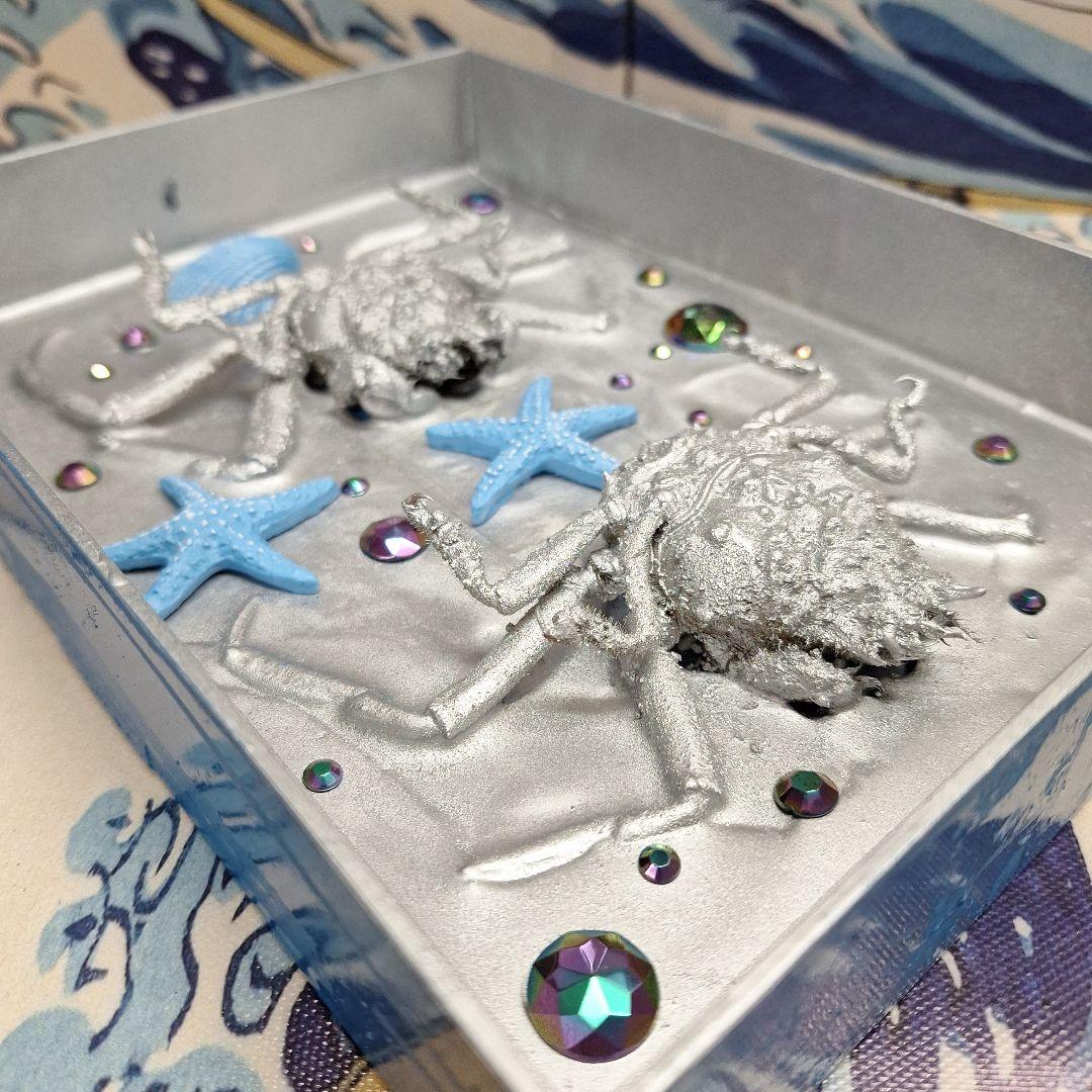 平家怨霊人面蟹稀少レア平家蟹鬼面蟹ペア二点凹凸リアル立体