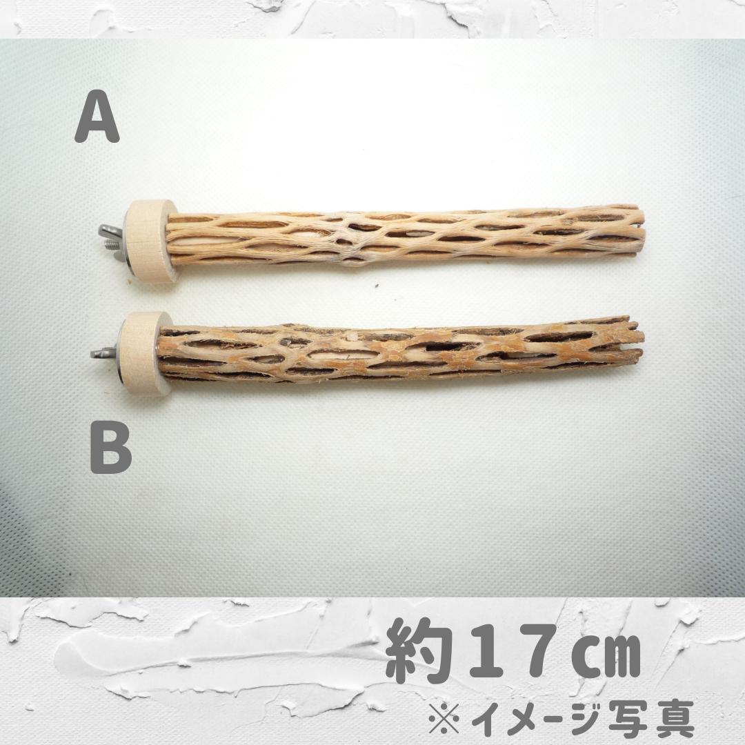 ⭐︎Diamond☆様専用 おまとめ カクタスパーチ 3本 ⭐︎Diamond☆様専用