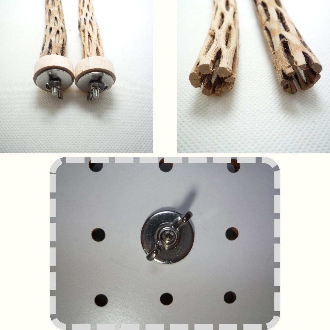 ⭐︎Diamond☆様専用 おまとめ カクタスパーチ 3本 ⭐︎Diamond☆様専用