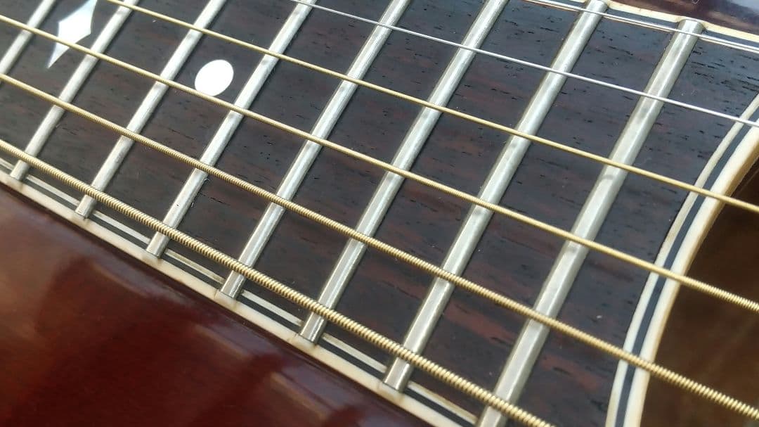 レオさん専用 ARIA Elecord AE-100 エレアコギター - メルカリ