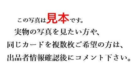 エンペルト LV.X プロモ 078/DP-P 整理番号、ps-27-2 - メルカリ