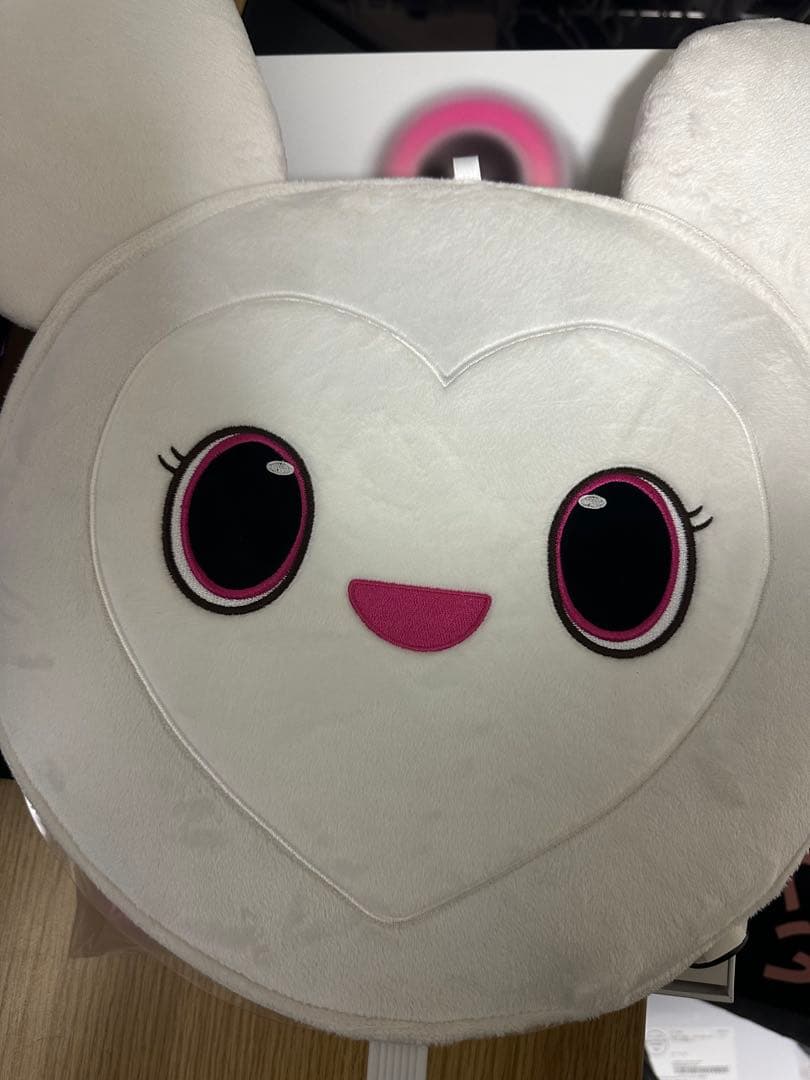 twice ペンライト うちわケース twice ダヒョンセット