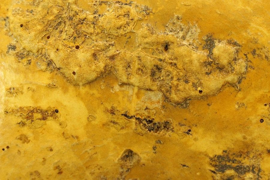 茶道具 瓢 炭斗 侘び寂び(ZE483)