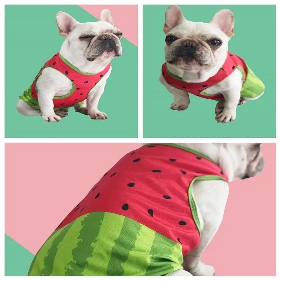 zhendehenziyou ペット服 夏用 犬 スイカ XL - メルカリ