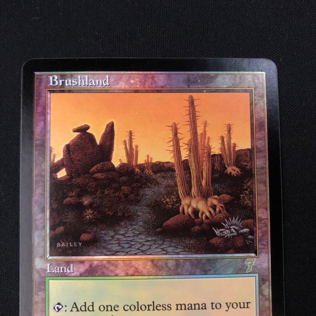 低木林地 英語 第7版 foil