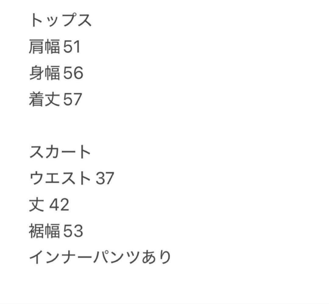 長袖　トレーナー　裏起毛　セットアップ　スリーライン　秋冬　ゴルフウェア　新品