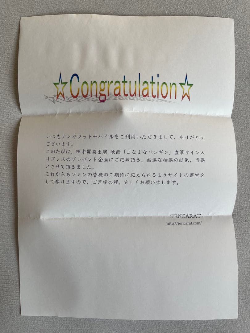 田中麗奈　抽プレ　サイン入り映画　よなよなペンギン　パンフレット、写真集、切取り