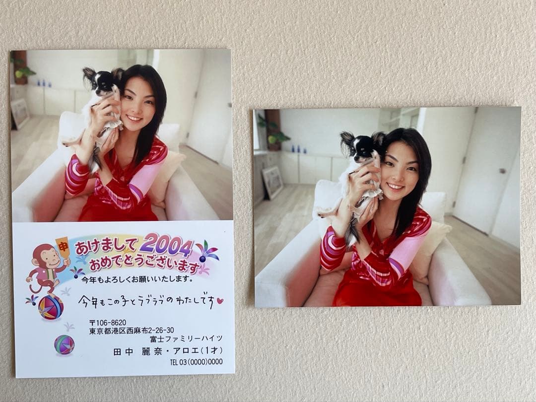 田中麗奈　抽プレ　サイン入り映画　よなよなペンギン　パンフレット、写真集、切取り