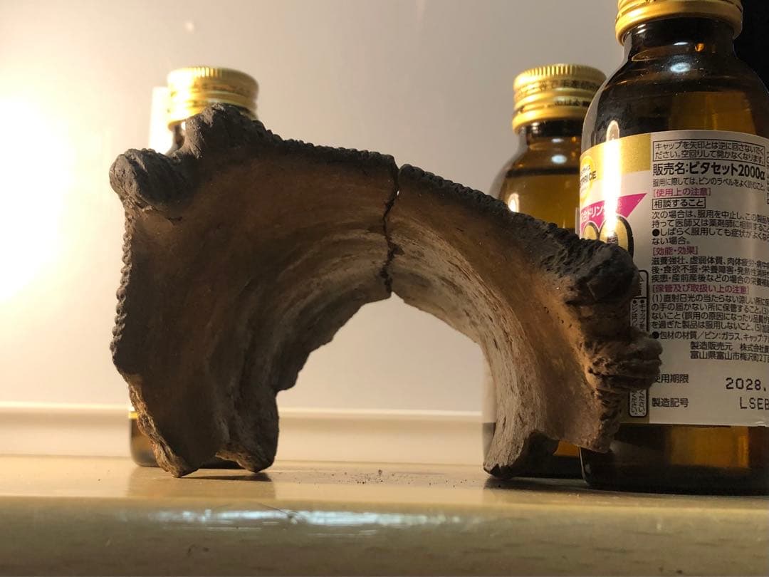 縄文土器の欠片 No.528」です。