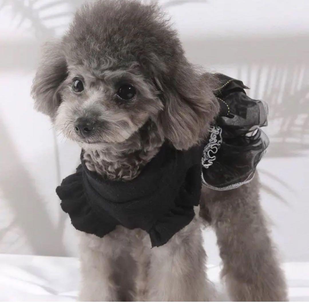 訳あり】ペット用 ドレス XLサイズ ブラック チュール チュチュ フリル