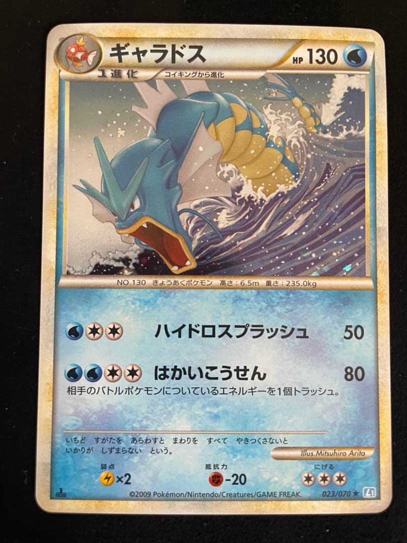 ギャラドス　赤い　色違い　2009 2枚セット