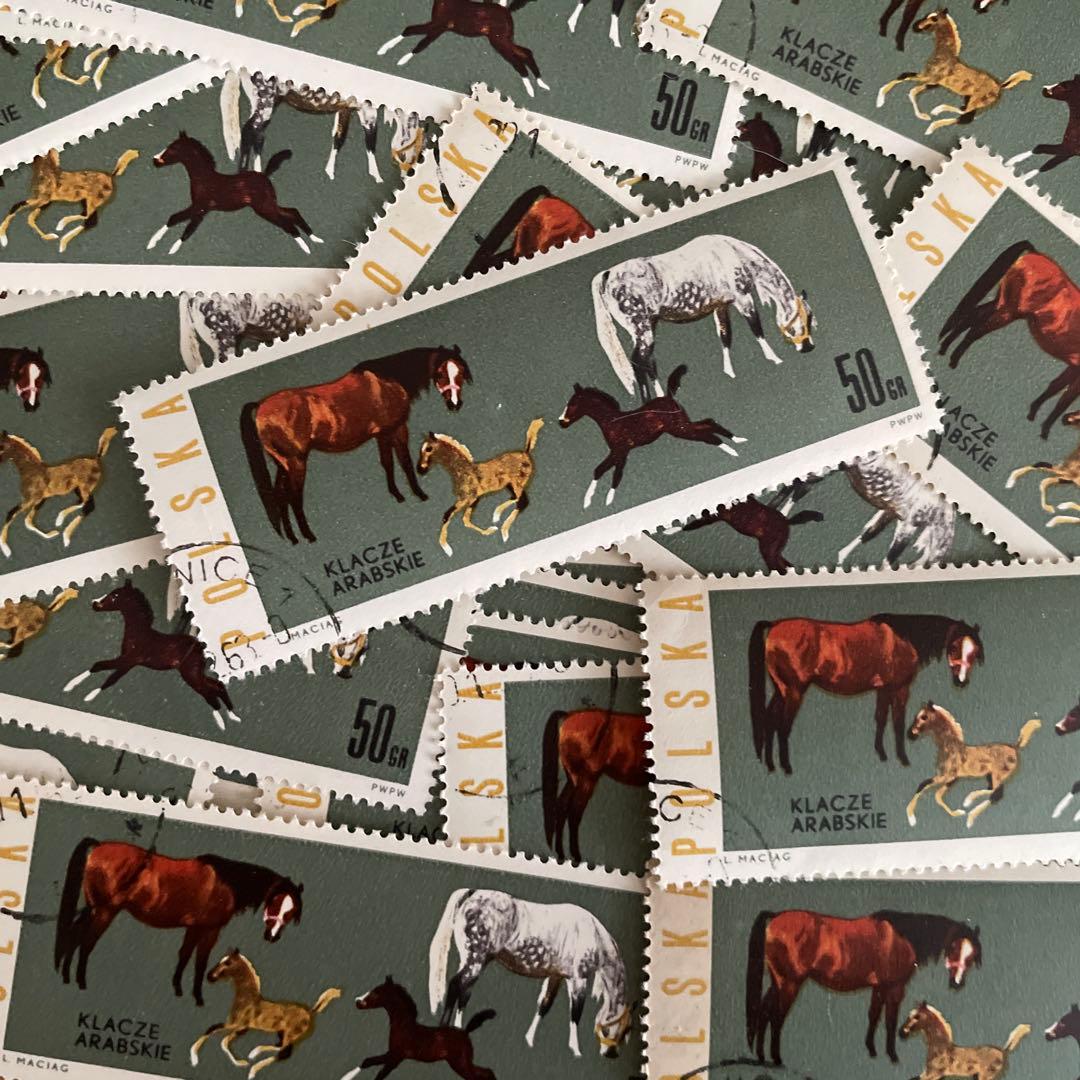 おしゃれな外国切手 ポーランド 馬 45枚 海外切手 紙もの 古切手 大型