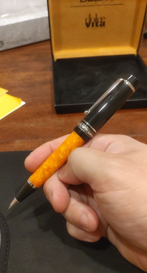 ☆プール様専用☆ デルタドルチェビータミディアム ボールペン