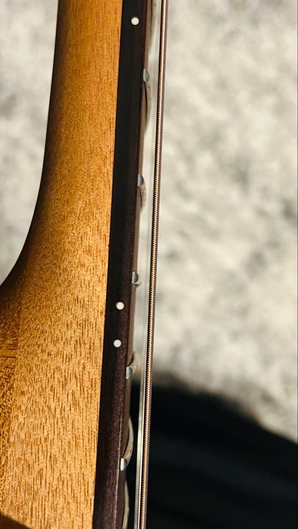 LAG エレアコ スプルース T70DCE-NAT