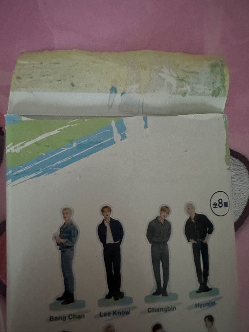 StrayKids SKZOO DWAEKKI チャンビン まとめ売り