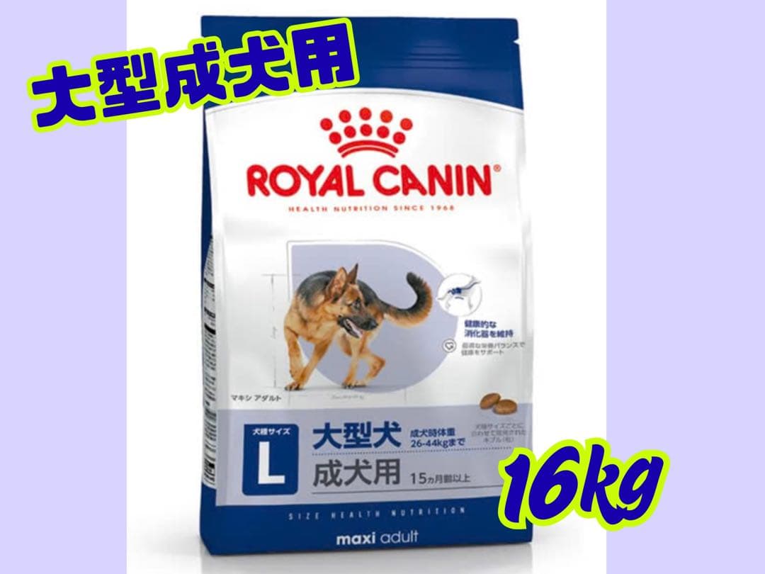 ☆ロイヤルカナン マキシ アダルト☆大型犬成犬用16kg! - メルカリ