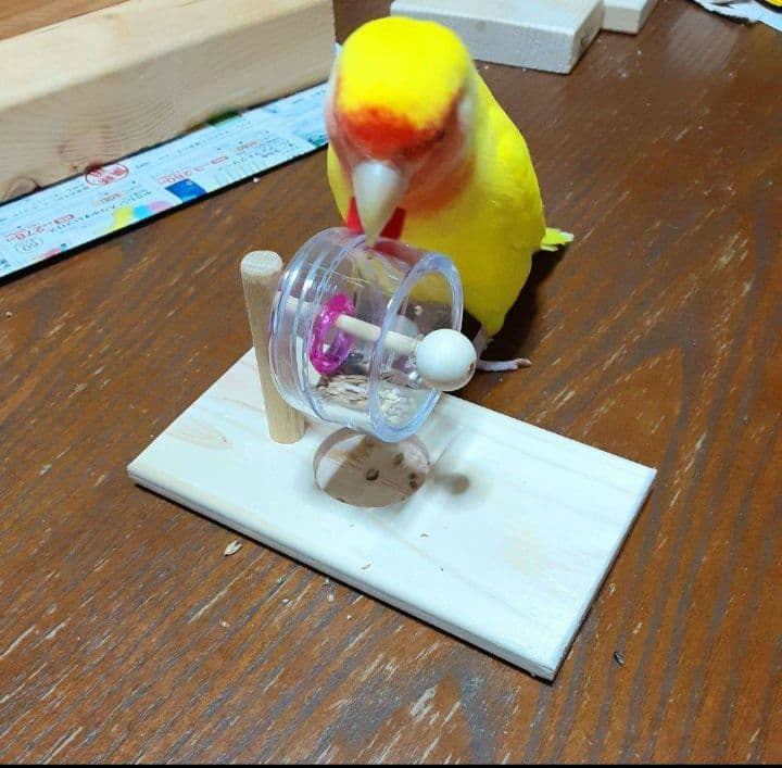 g157 止まり木 Tパーチ スタンド バードトイ フォージングトイ色々セット