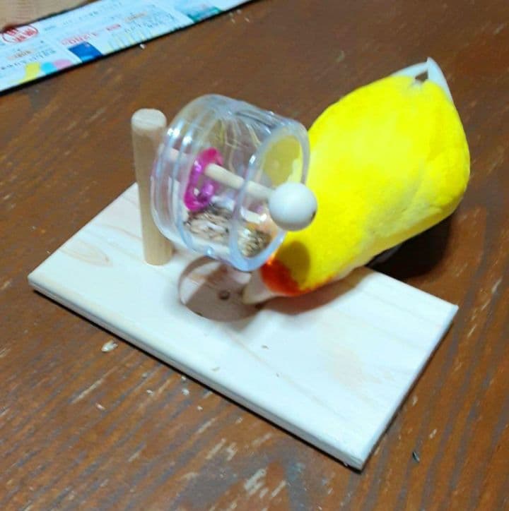 g157 止まり木 Tパーチ スタンド バードトイ フォージングトイ色々セット