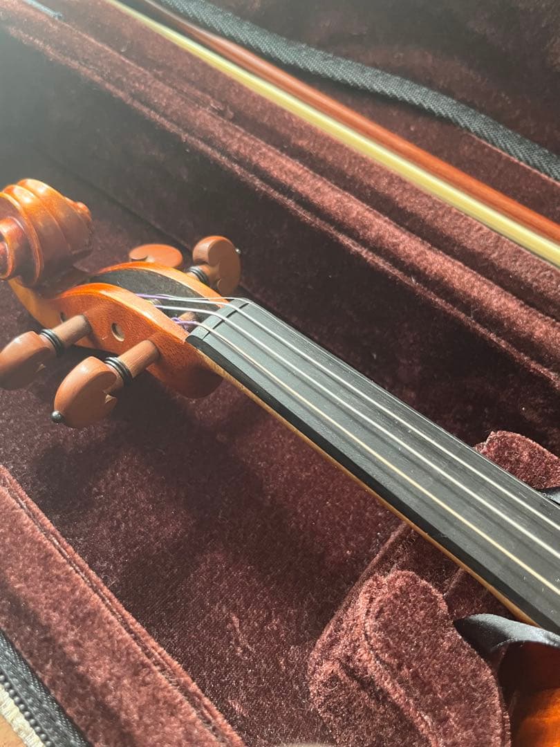 カルロジョルダーノ VS2 4/4バイオリン　ケース　肩当て　ミュート付き