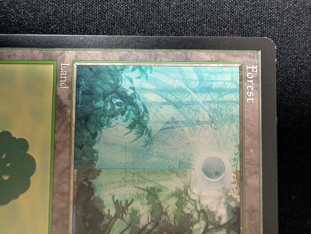 Guruランド グルランド 森