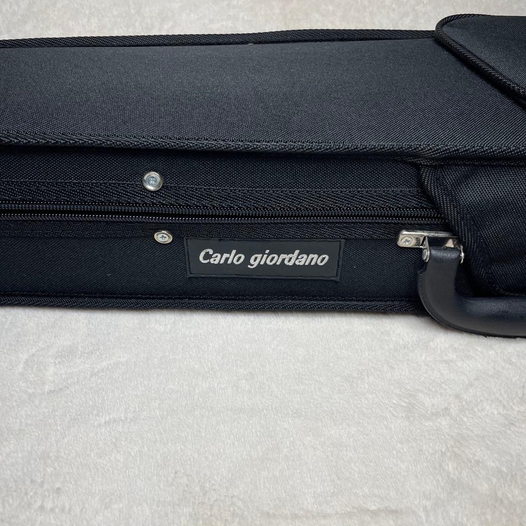 Carlo Giordano カルロジョルダーノ EV-202 エレキバイオリン