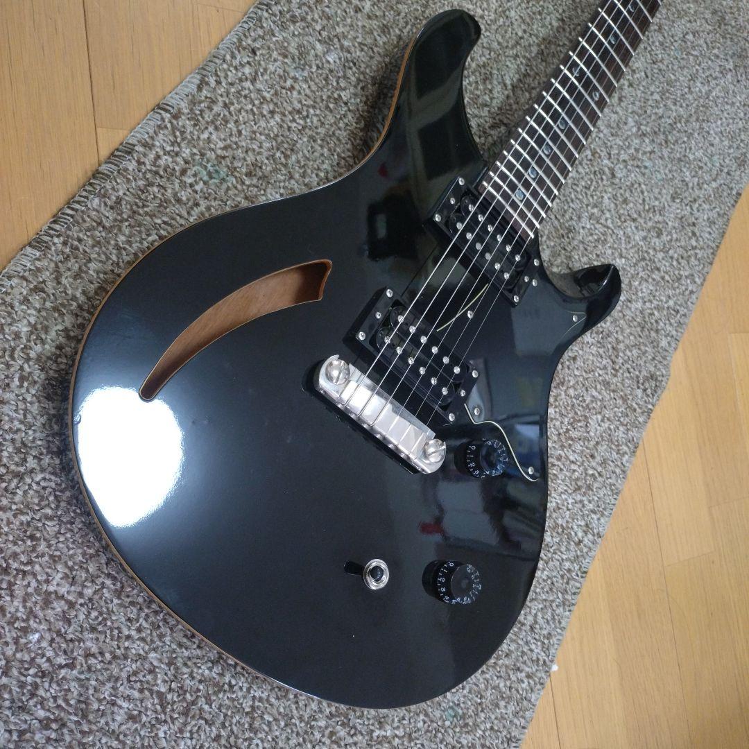 PRS SE Custom22 semi hollow？シンライン
