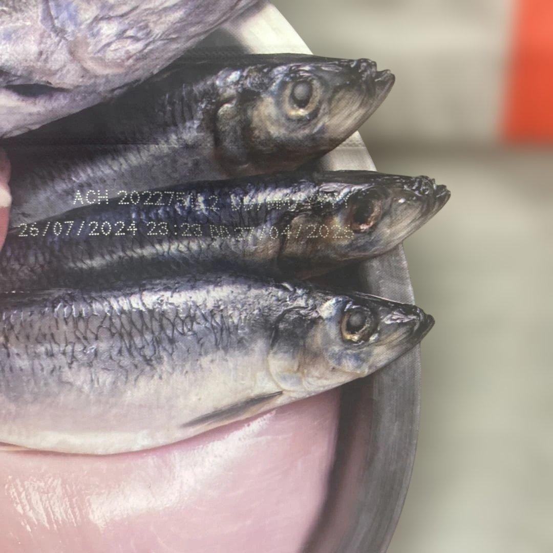 【新品未開封】オリジン　スモールブリード　4.5kg