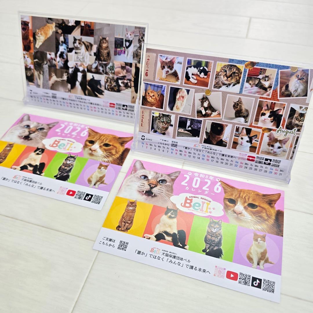 ③《猫》 卓上チャリティーカレンダー10枚セット