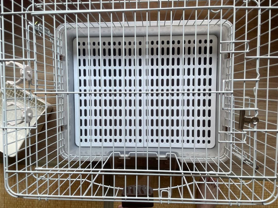 小動物飼育セット ゲージ ペットキャリー うさぎおやつ リード