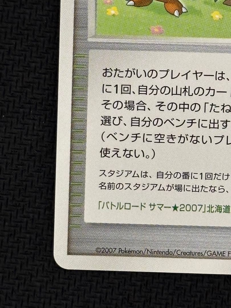 ポケモンパルシティ　北海道　大会　プロモ