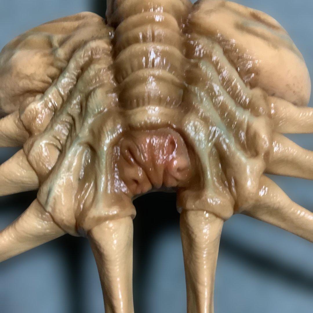 エイリアン★ソフビ★ガレージキット★フェイスハガー★1/1実物大★ツクダホビー