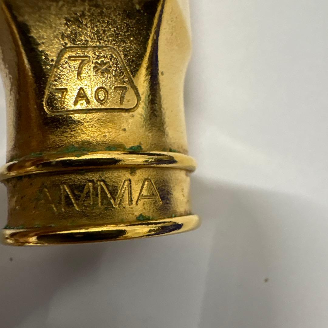 Theo Wanne AMMA 7⭐︎ テナーマウスピース