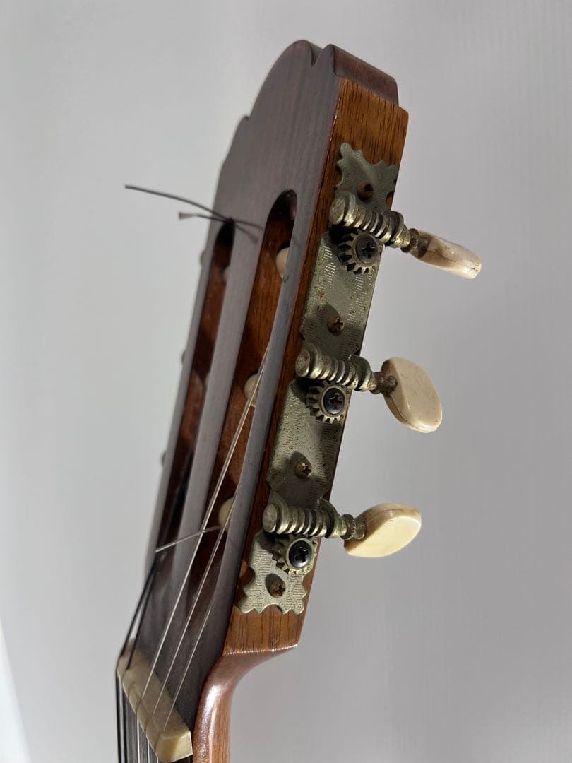 アコースティック・ギター・マガジン通巻100 号記念スペシャル・ライブ