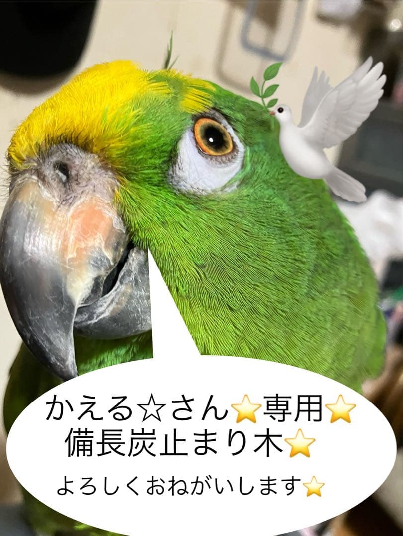 大型鳥用】どっしり♬Araバードスタンド