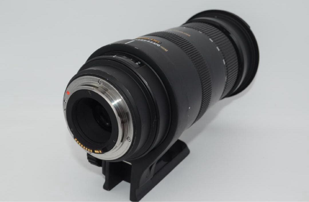 レンズ(ズーム) SIGMA APO 50-500mm F4.5-6.3 DG OS HSM